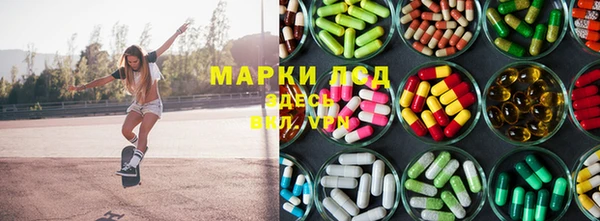 винт Алзамай