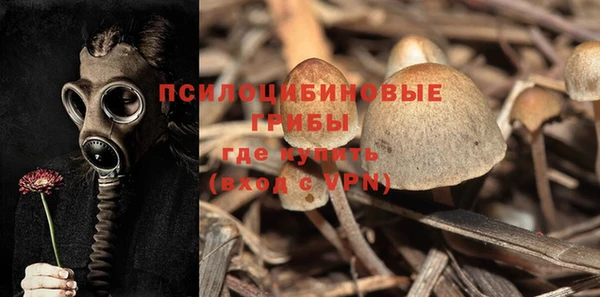 винт Алзамай