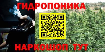 сатива Владикавказ