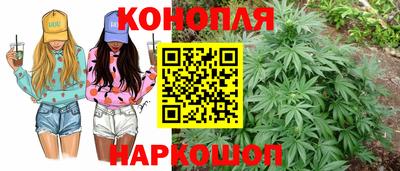 сатива Владикавказ